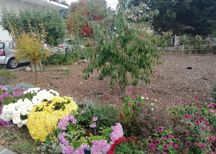 La Nuova Dimora B&B LʼAquila